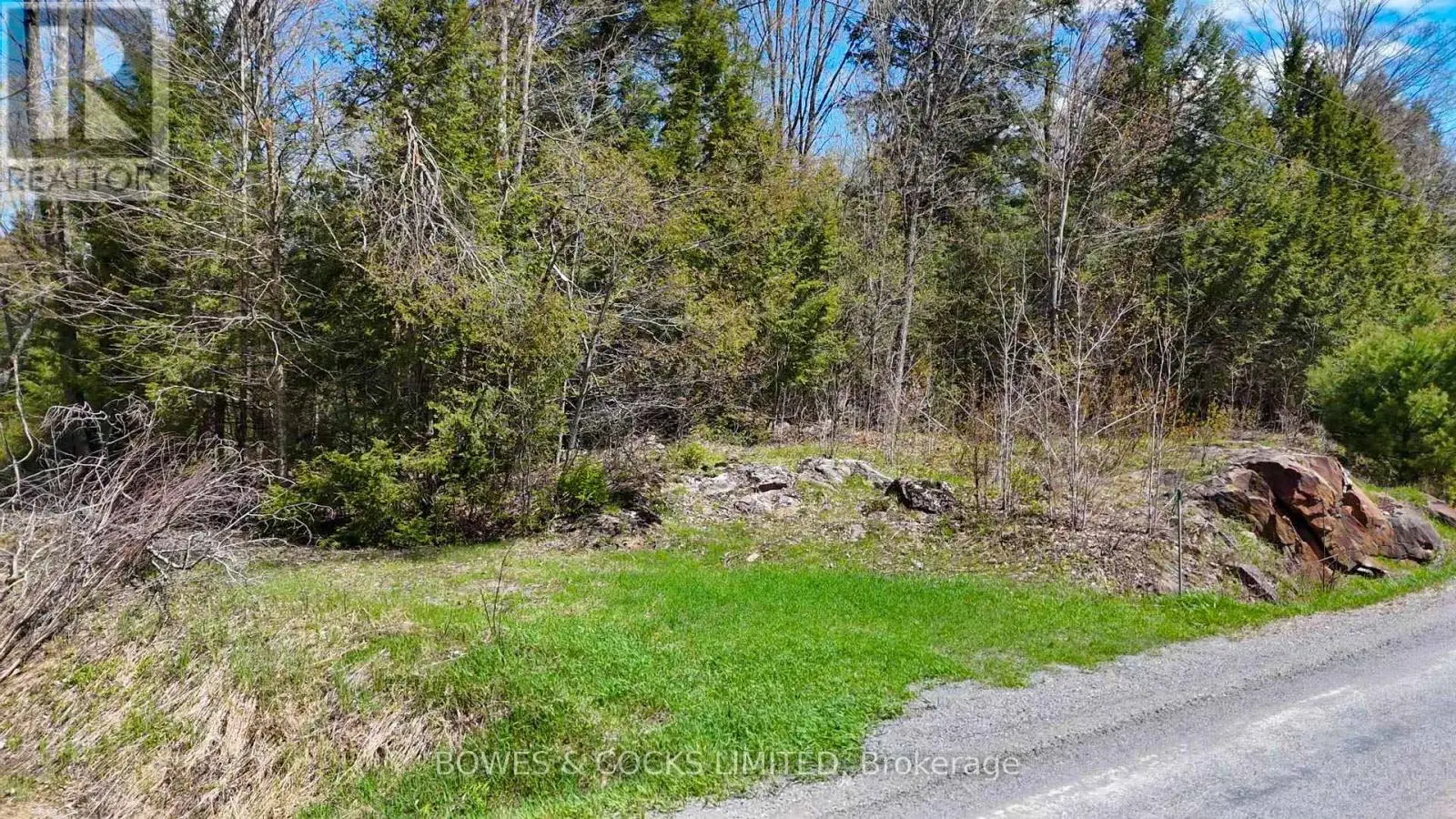 1160 Balmer Road, North Kawartha, Ontario  K0L 1A0 - Photo 3 - X12153763