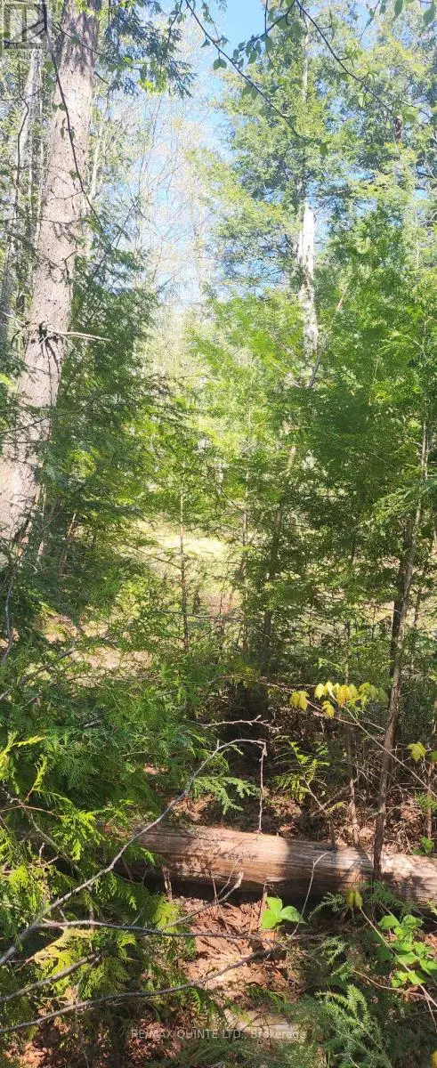 00 Fire Route 67, Havelock-Belmont-Methuen, Ontario  K0L 1Z0 - Photo 2 - X12154058