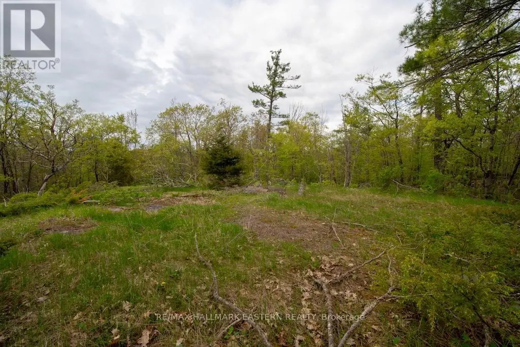 0 Tedford Drive, Selwyn, Ontario  K0L 2H0 - Photo 3 - X12154746