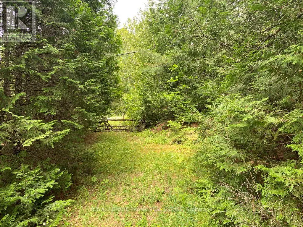 0 Barcroft Road, Trent Lakes, Ontario  K0L 1J0 - Photo 2 - X12156194