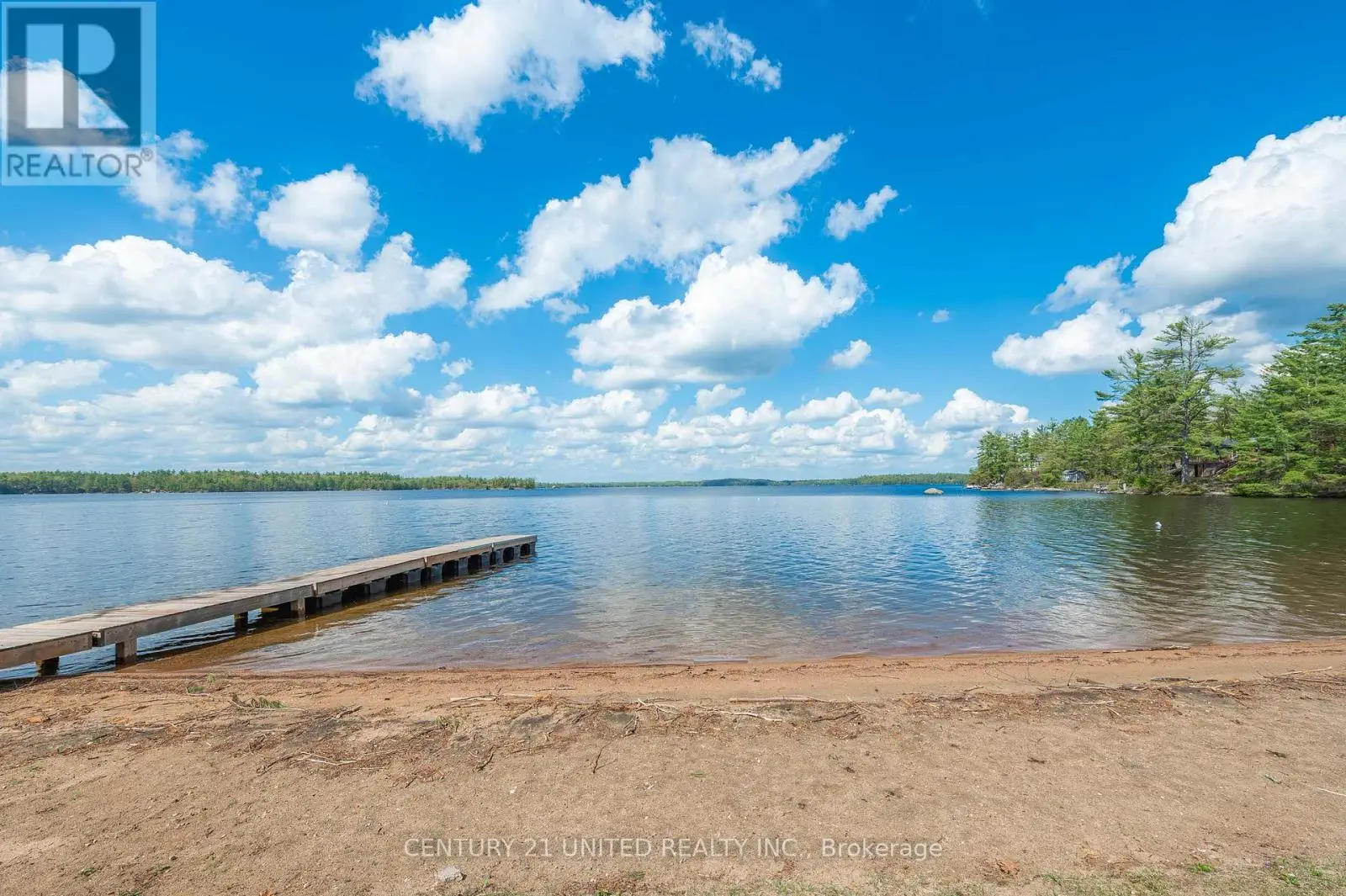 10 Fr 133a Route, Trent Lakes, Ontario  K0L 1J0 - Photo 1 - X12157106