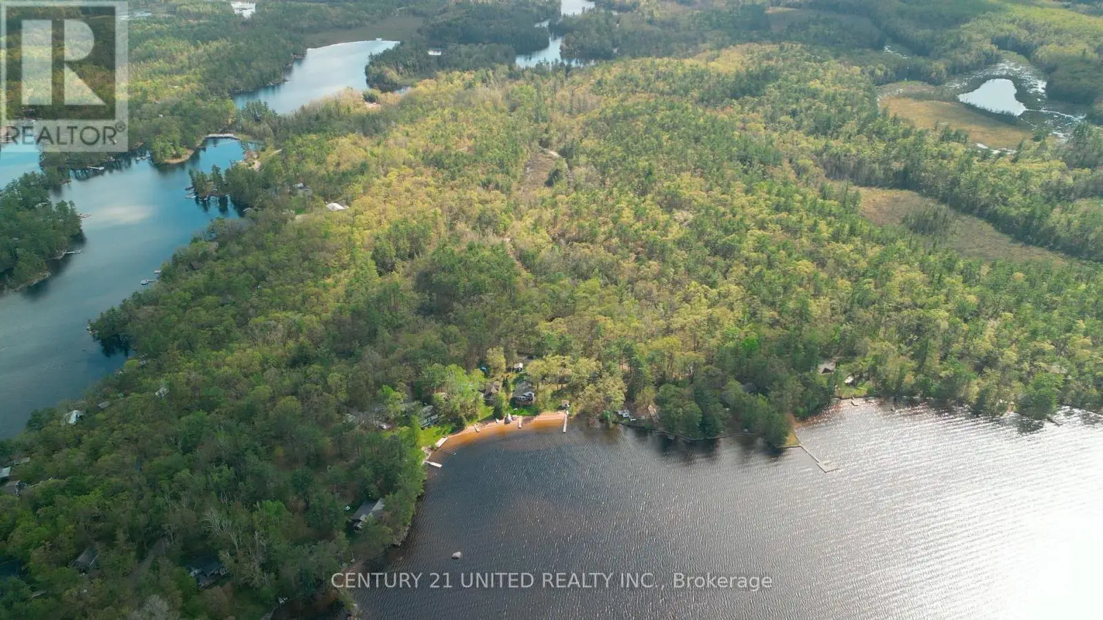 10 Fr 133a Route, Trent Lakes, Ontario  K0L 1J0 - Photo 2 - X12157106
