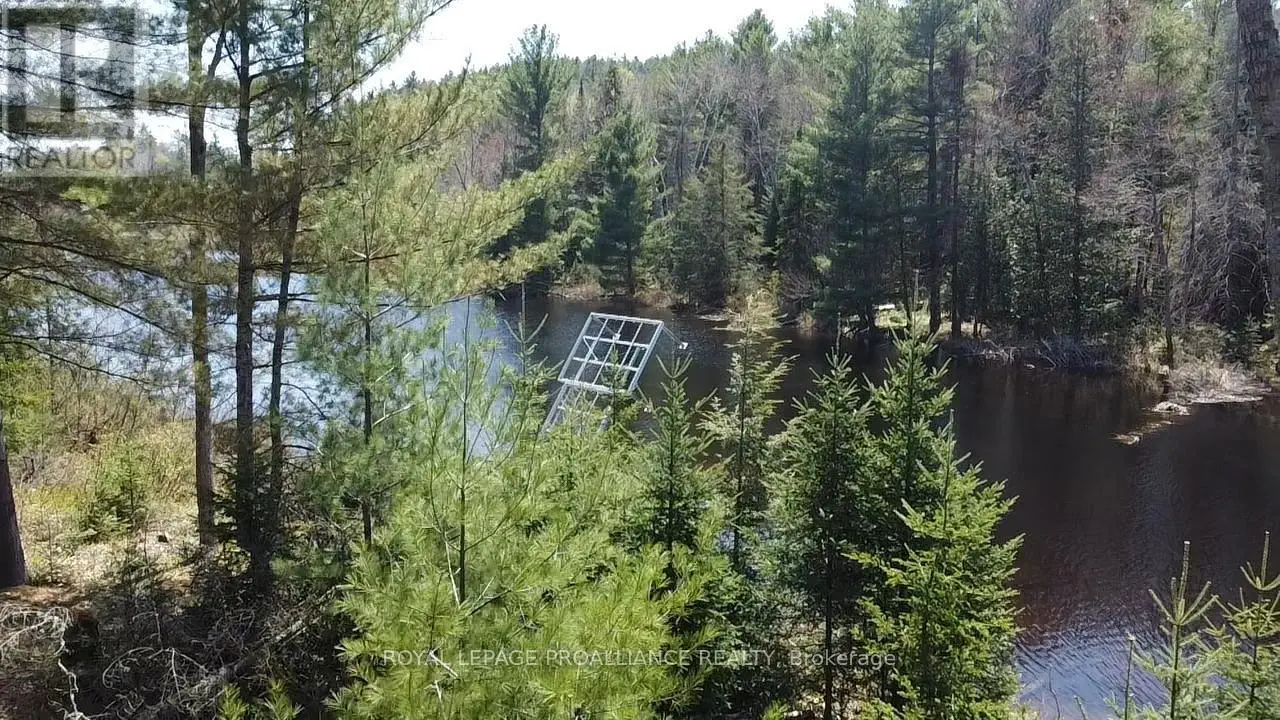 536 Addington Road 5, Addington Highlands, Ontario  K0H 1K0 - Photo 1 - X12160418