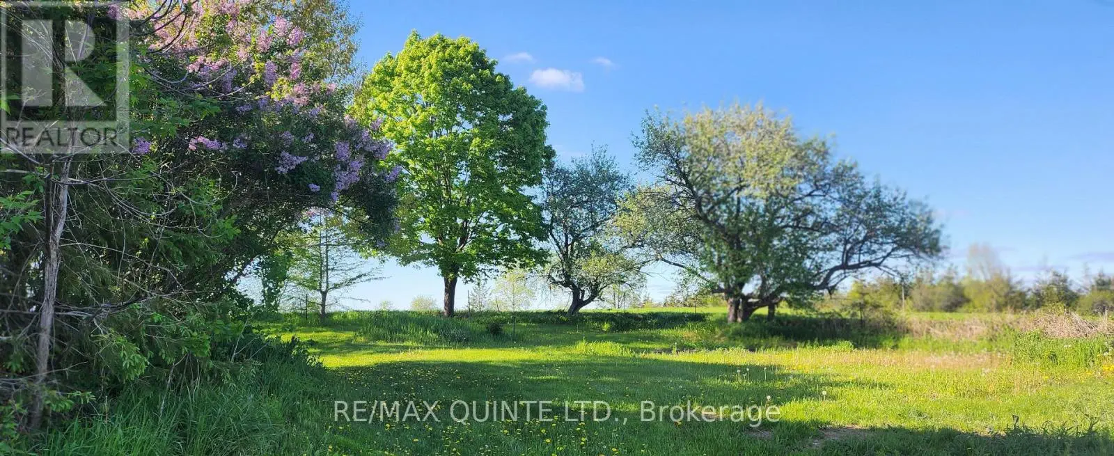 266 Bronk Road, Belleville, Ontario  K0K 1V0 - Photo 3 - X12162620