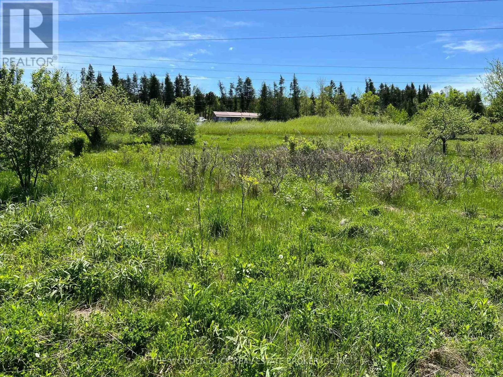 1970 River Road, Otonabee-South Monaghan, Ontario  K0L 2B0 - Photo 3 - X12163274