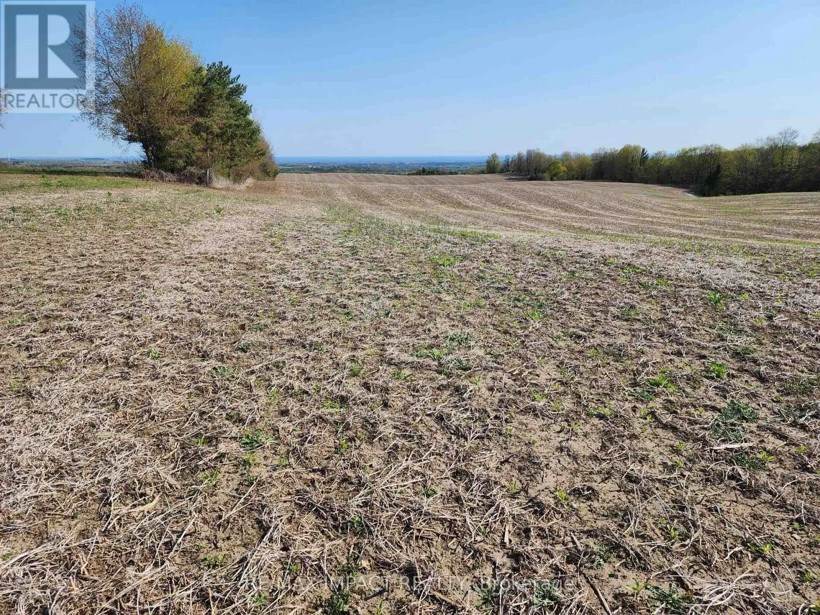 3488 Skelding Road, Clarington, Ontario  L0B 1M0 - Photo 3 - E12045335