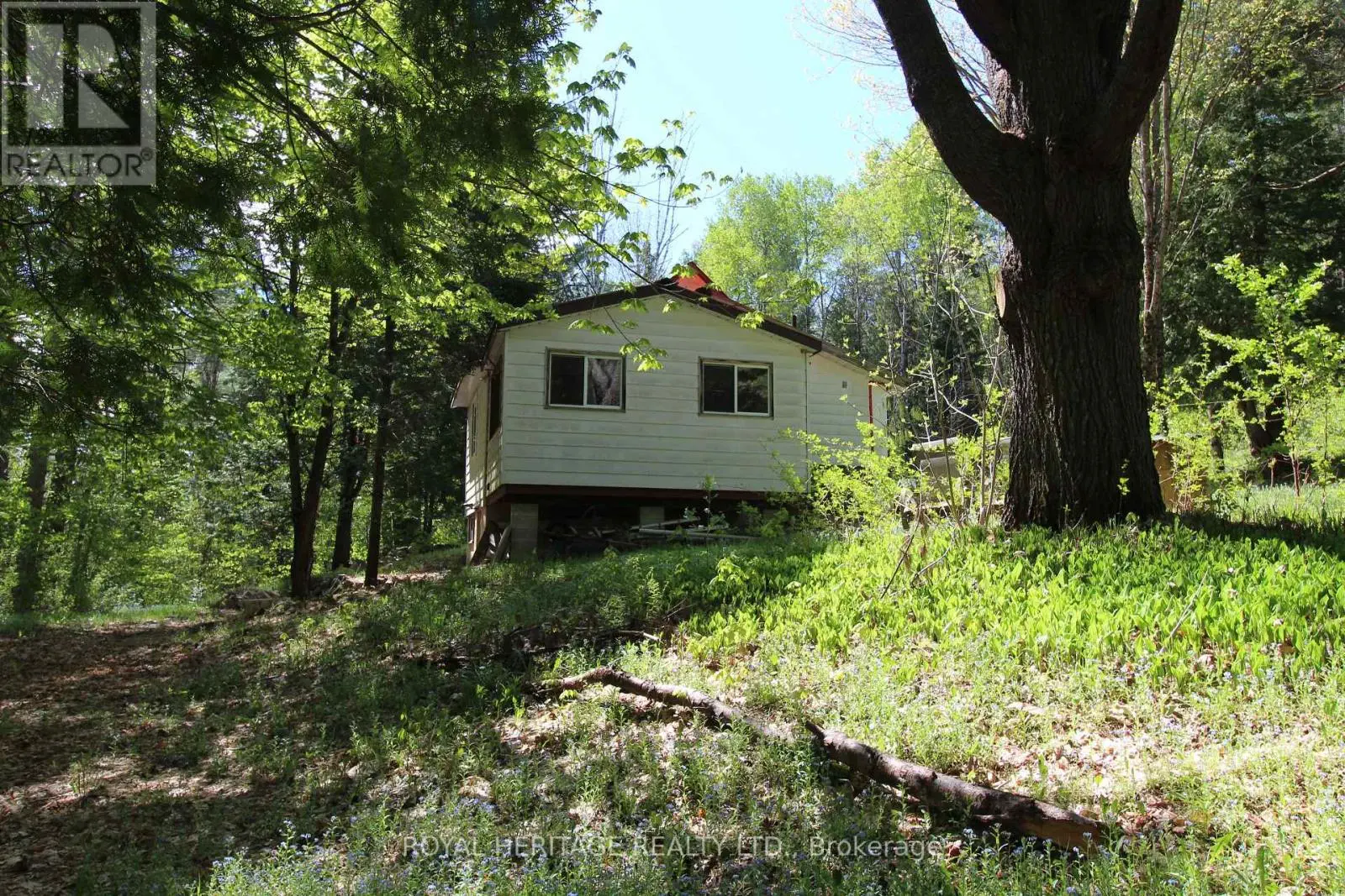 1059 Tortoise Drive, Highlands East, Ontario  K0L 3C0 - Photo 3 - X12168331