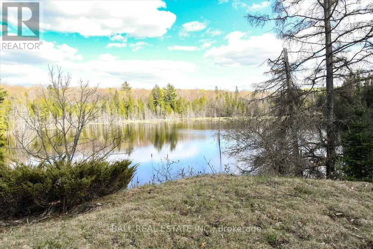 Pt Lots 11 & 12 As Part 1, Clydesdale Road, North Kawartha, Ontario  K0L 1A0 - Photo 2 - X12168397