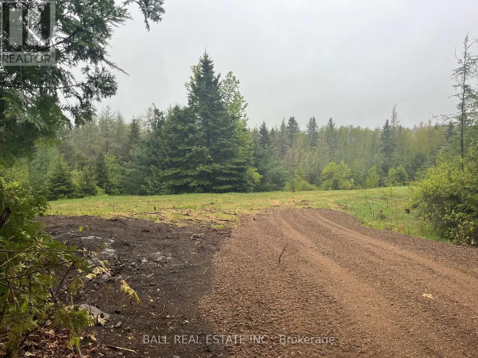 Pt Lots 11 & 12 As Part 1, Clydesdale Road, North Kawartha, Ontario  K0L 1A0 - Photo 3 - X12168397