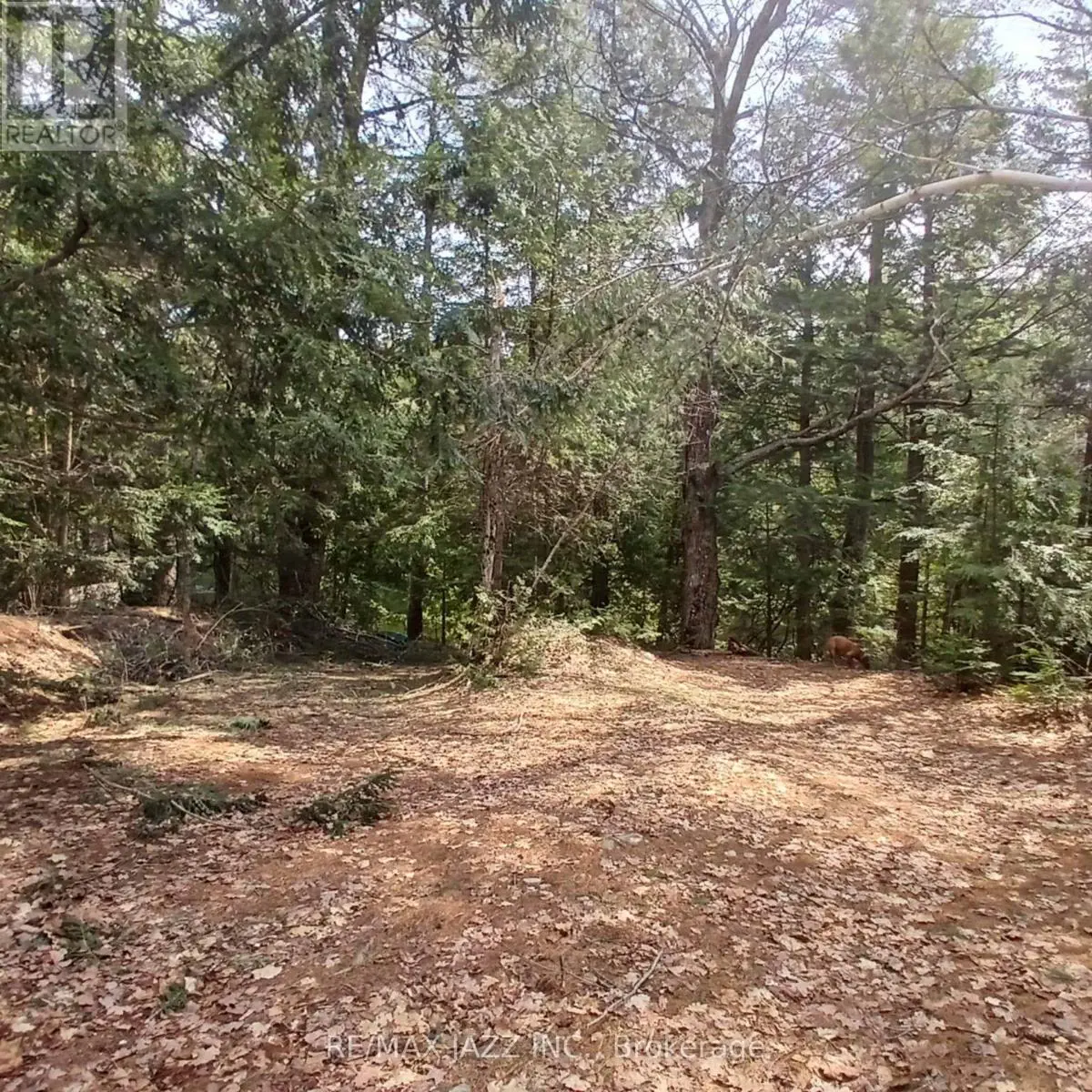 0 Concession 3 Road, Minden Hills, Ontario  K0M 2L1 - Photo 2 - X12038596