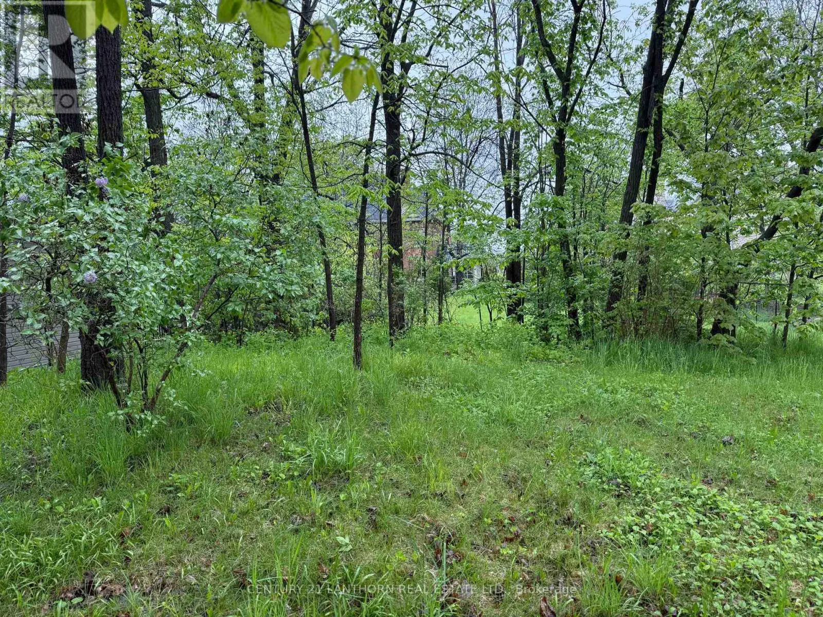 29 Rollins Street, Centre Hastings, Ontario  K0K 2K0 - Photo 3 - X12171173
