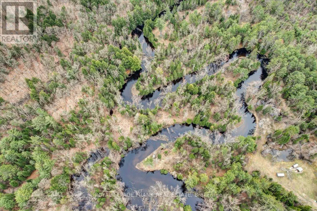 173 Lean Drive, North Kawartha, Ontario  K0L 1A0 - Photo 2 - X12117296