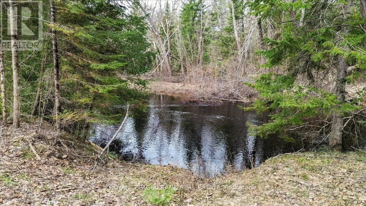 173 Lean Drive, North Kawartha, Ontario  K0L 1A0 - Photo 3 - X12117296