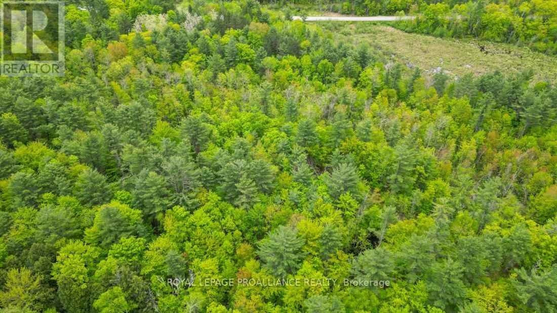 8 Clark Line Road, Addington Highlands, Ontario  K0H 1P0 - Photo 10 - X11989492