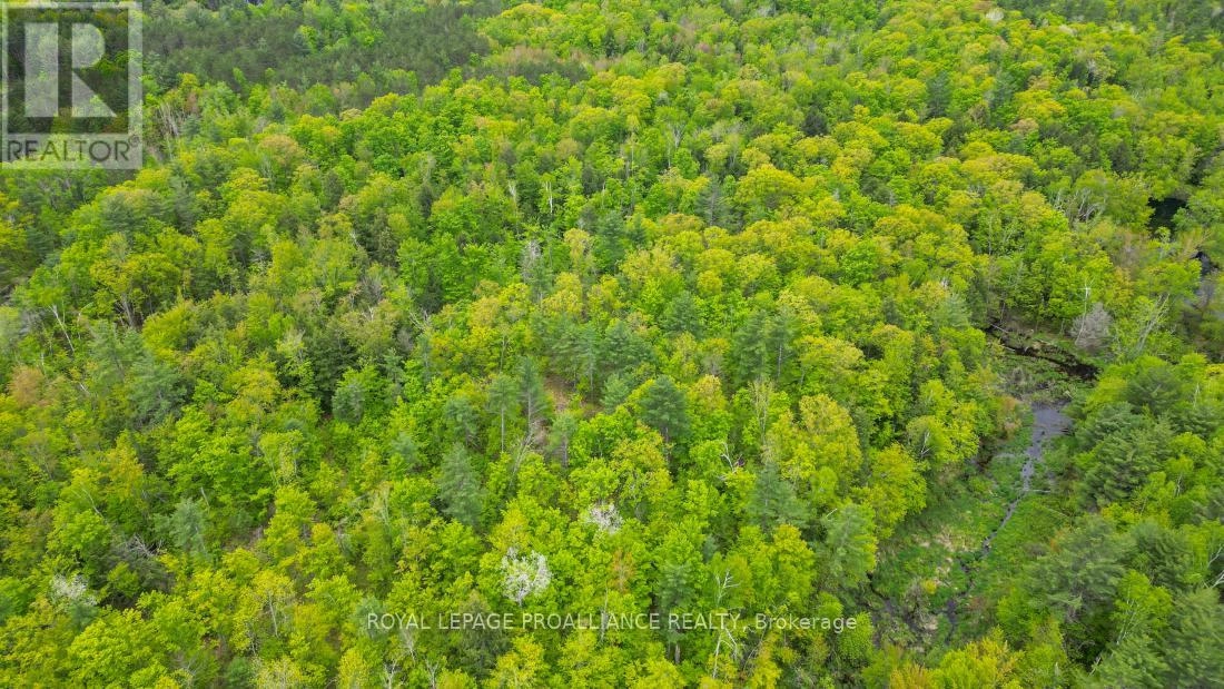 8 Clark Line Road, Addington Highlands, Ontario  K0H 1P0 - Photo 11 - X11989492