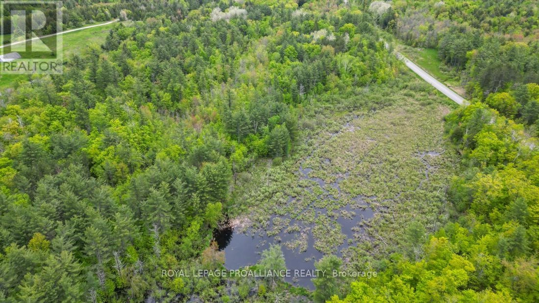 8 Clark Line Road, Addington Highlands, Ontario  K0H 1P0 - Photo 13 - X11989492