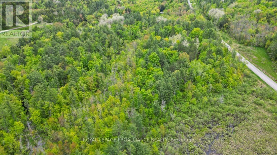 8 Clark Line Road, Addington Highlands, Ontario  K0H 1P0 - Photo 12 - X11989492