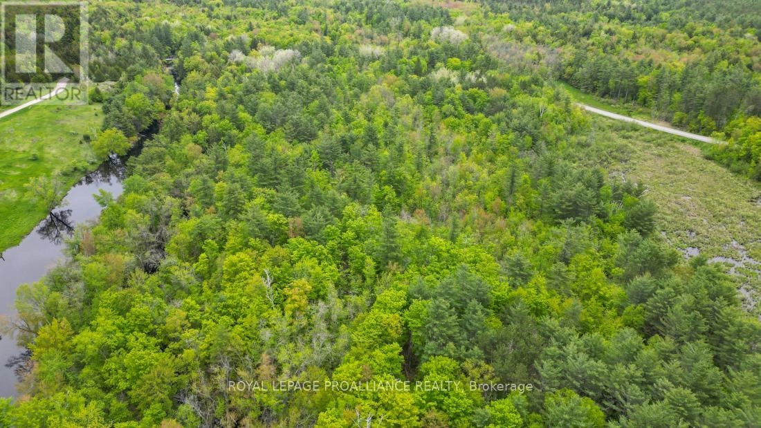 8 Clark Line Road, Addington Highlands, Ontario  K0H 1P0 - Photo 16 - X11989492