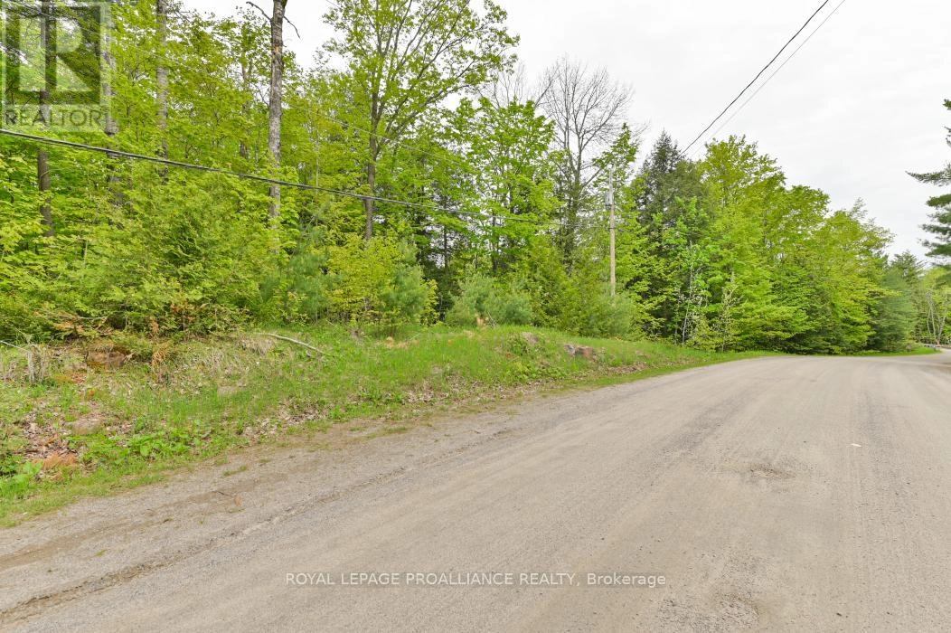 8 Clark Line Road, Addington Highlands, Ontario  K0H 1P0 - Photo 21 - X11989492