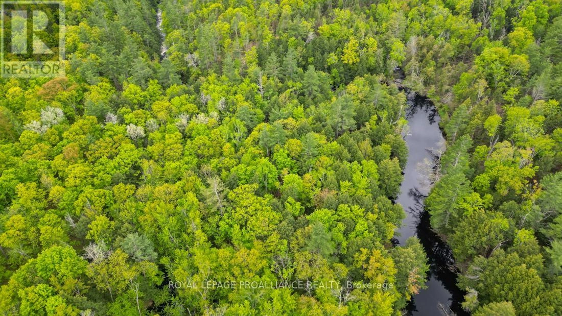 8 Clark Line Road, Addington Highlands, Ontario  K0H 1P0 - Photo 17 - X11989492