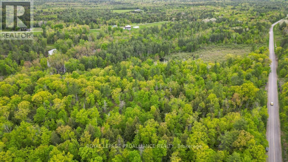 8 Clark Line Road, Addington Highlands, Ontario  K0H 1P0 - Photo 19 - X11989492