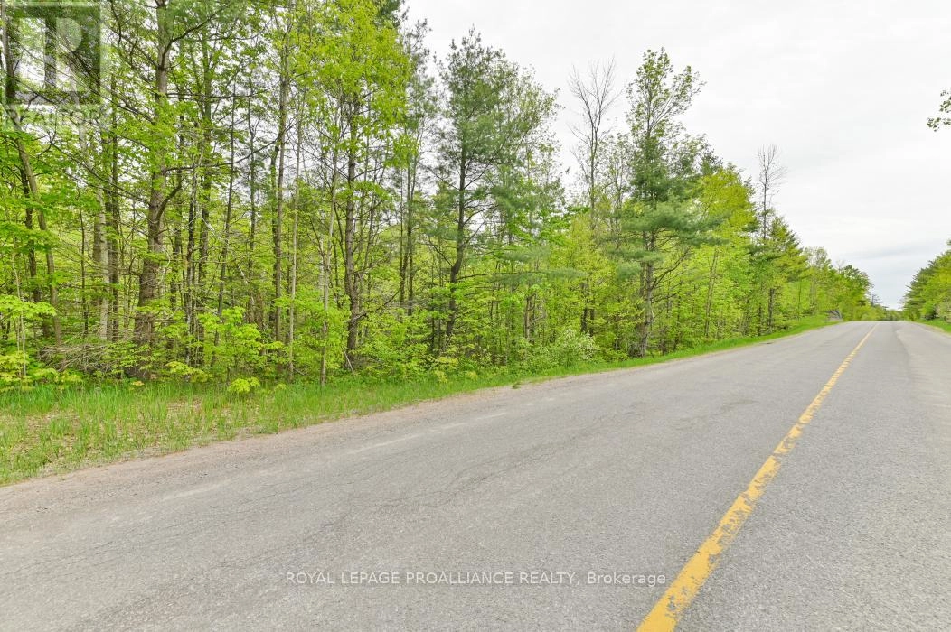 8 Clark Line Road, Addington Highlands, Ontario  K0H 1P0 - Photo 23 - X11989492