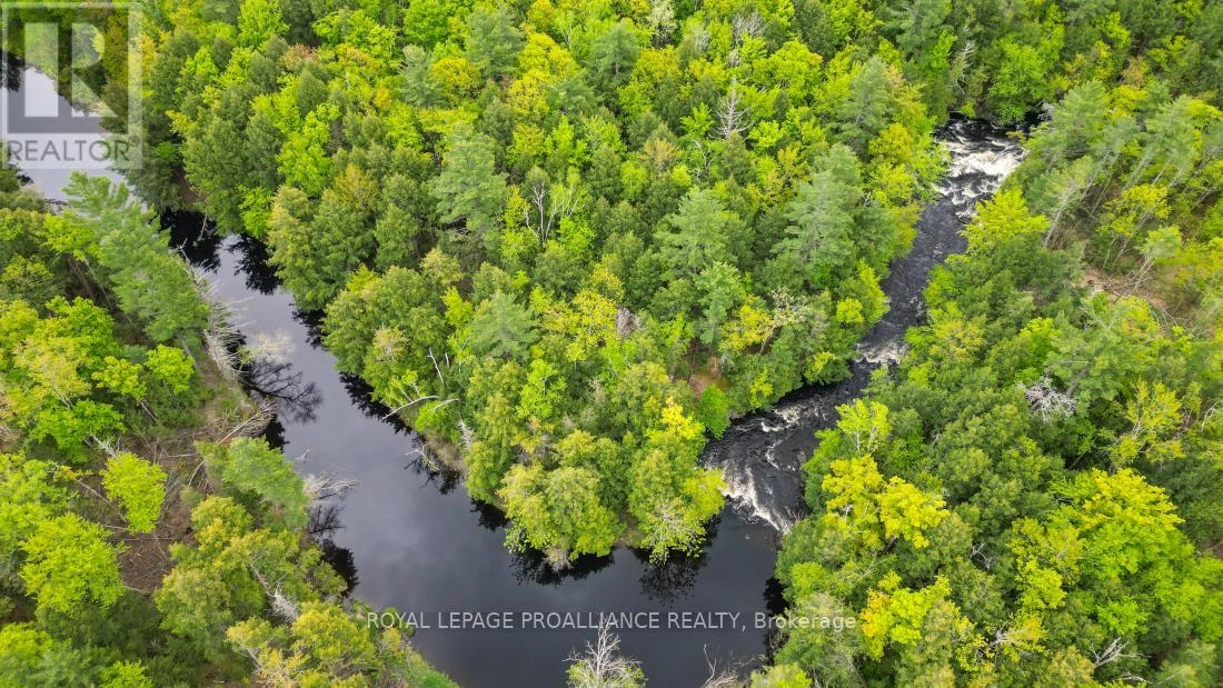 8 Clark Line Road, Addington Highlands, Ontario  K0H 1P0 - Photo 18 - X11989492