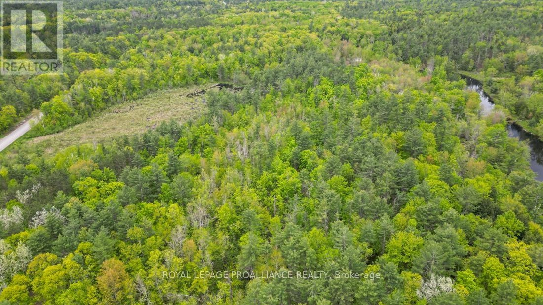 8 Clark Line Road, Addington Highlands, Ontario  K0H 1P0 - Photo 7 - X11989492