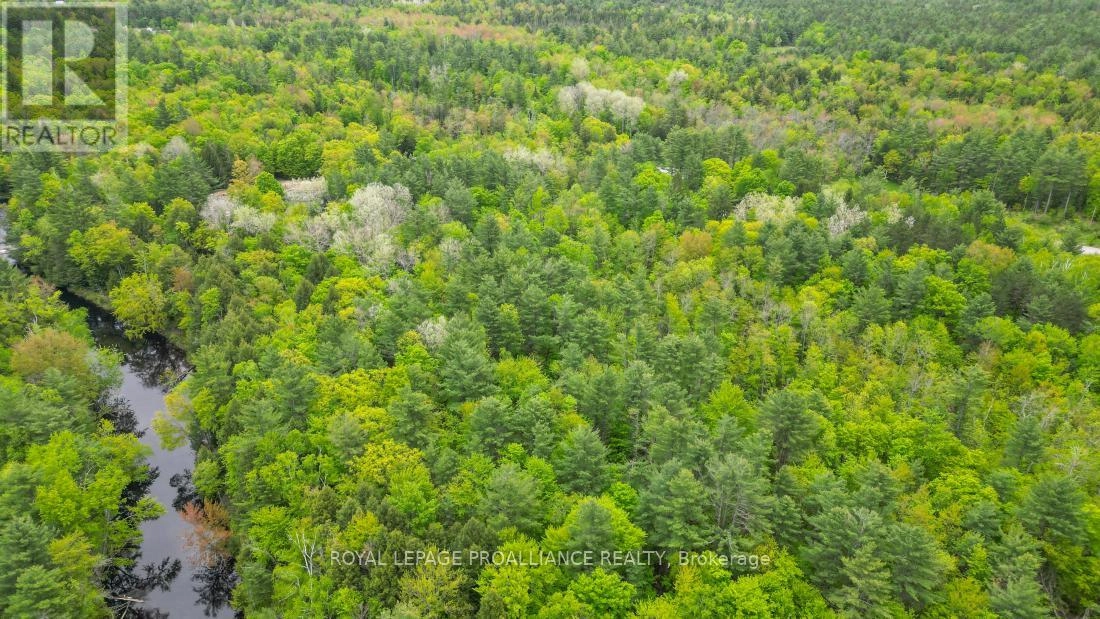 8 Clark Line Road, Addington Highlands, Ontario  K0H 1P0 - Photo 9 - X11989492