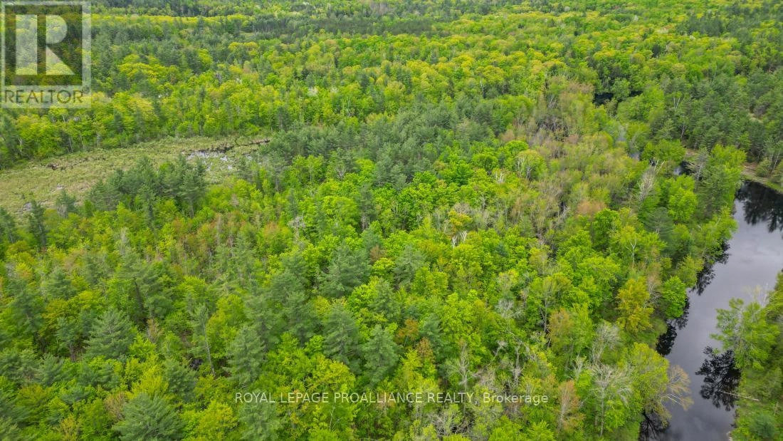 8 Clark Line Road, Addington Highlands, Ontario  K0H 1P0 - Photo 8 - X11989492