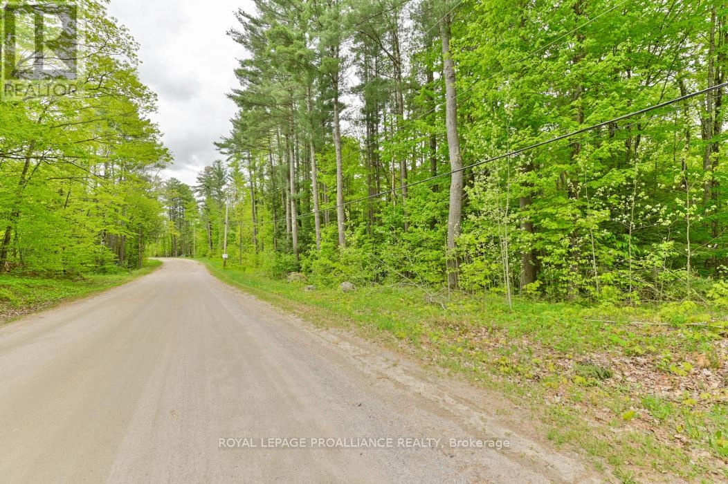 8 Clark Line Road, Addington Highlands, Ontario  K0H 1P0 - Photo 22 - X11989492