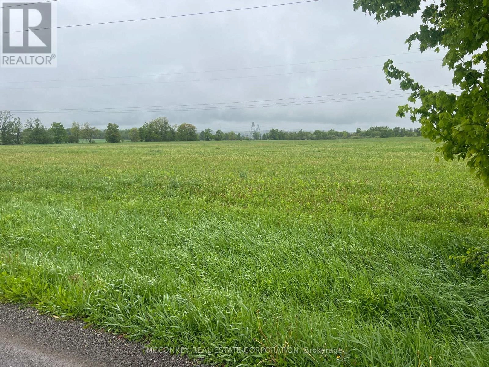1020 Larmer Line, Cavan Monaghan, Ontario  K0L 1V0 - Photo 2 - X12173204