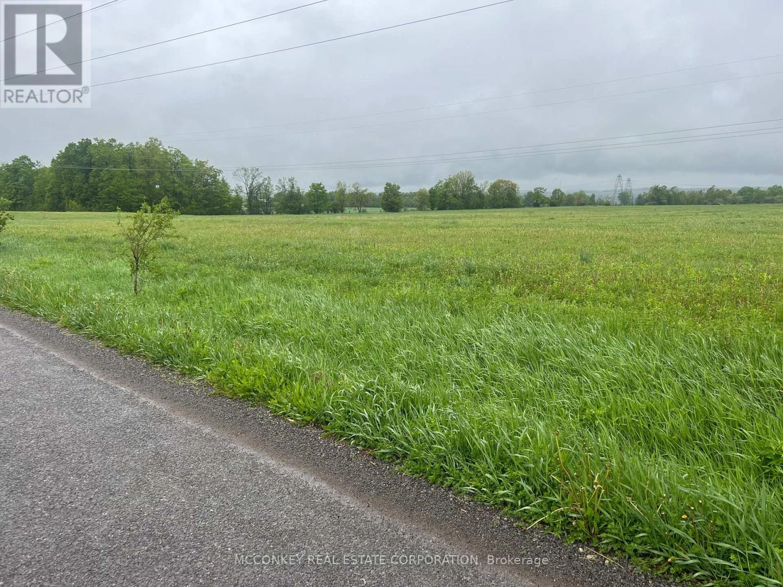 1020 Larmer Line, Cavan Monaghan, Ontario  K0L 1V0 - Photo 3 - X12173204