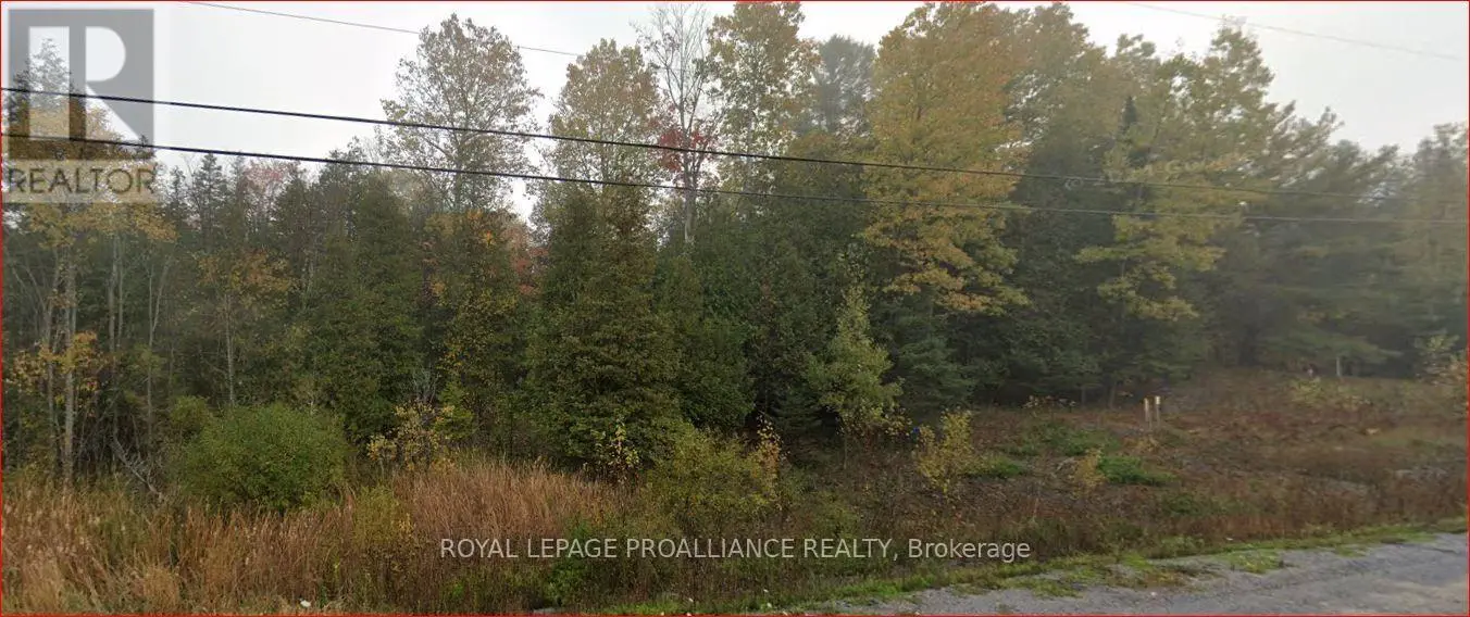 18362 Highway 62, Tudor & Cashel, Ontario  K0K 1Y0 - Photo 1 - X12175080
