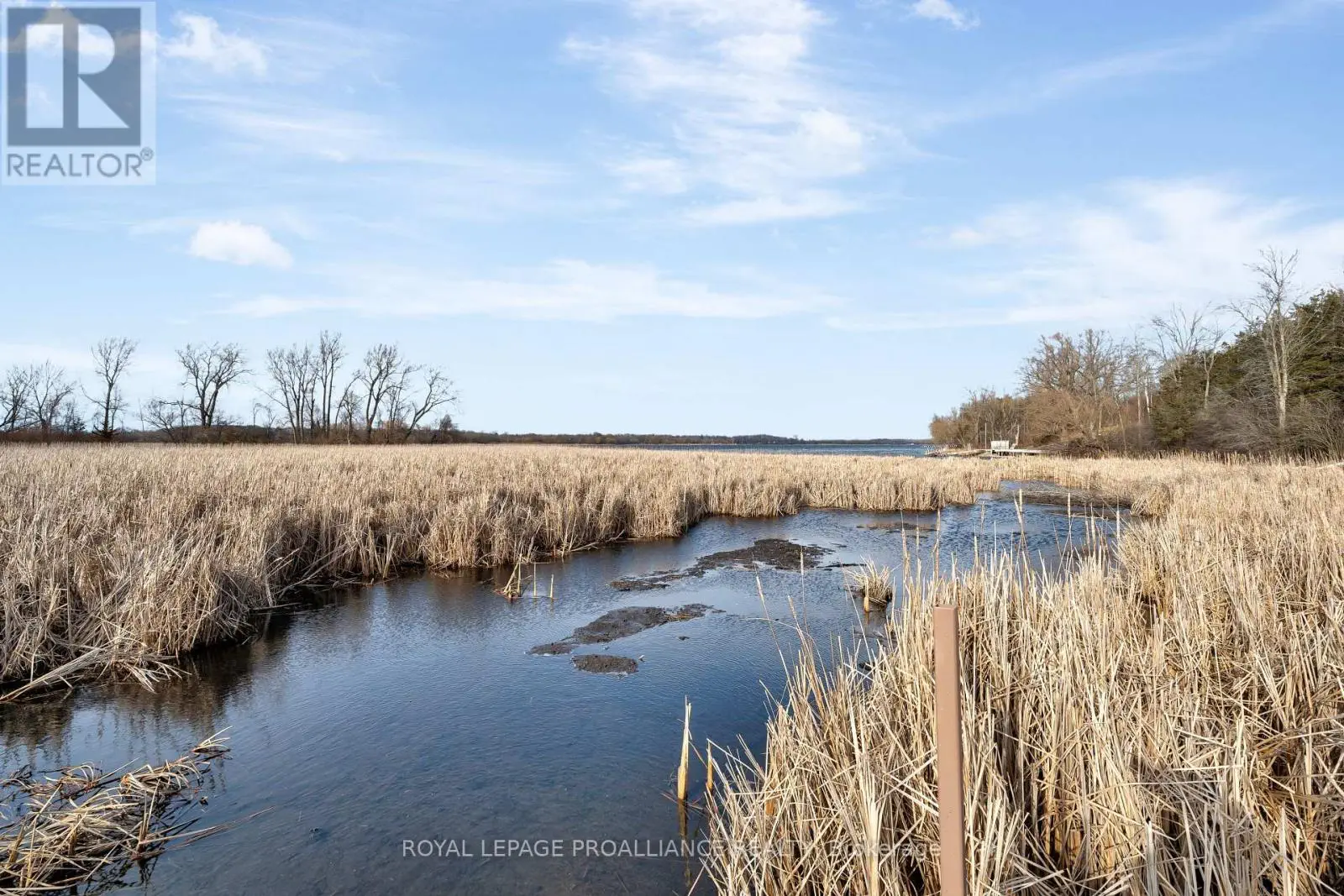 2691 County Road 15, Prince Edward County, Ontario  K0K 2T0 - Photo 2 - X12175418