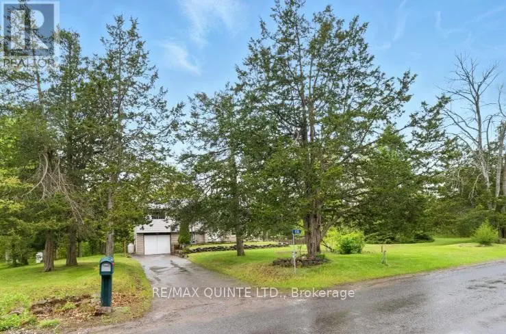 536 Christiani Road, Quinte West, Ontario  K8V 5P4 - Photo 3 - X12176485