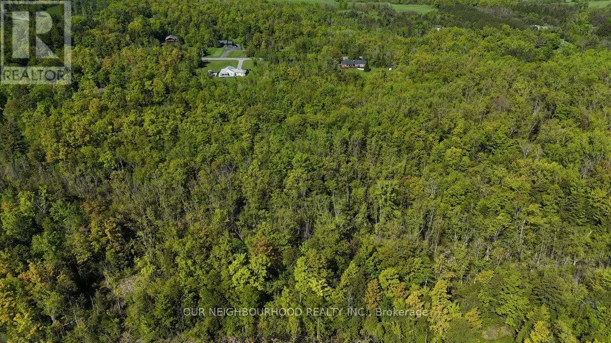 Lot 4 Tapley Quarter Line, Cavan Monaghan, Ontario  K0L 1V0 - Photo 2 - X12176509