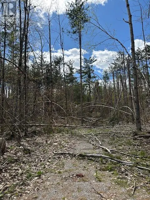 0 Barcroft Road, Galway-Cavendish And Harvey, Ontario  K0L 1J0 - Photo 1 - X12163391