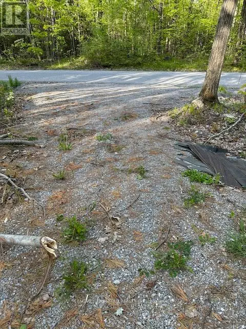 0 Barcroft Road, Galway-Cavendish And Harvey, Ontario  K0L 1J0 - Photo 3 - X12163391