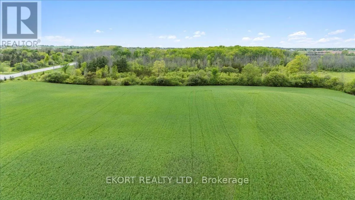 0 Highway 62 S, Prince Edward County, Ontario  K0K 1G0 - Photo 2 - X11942571