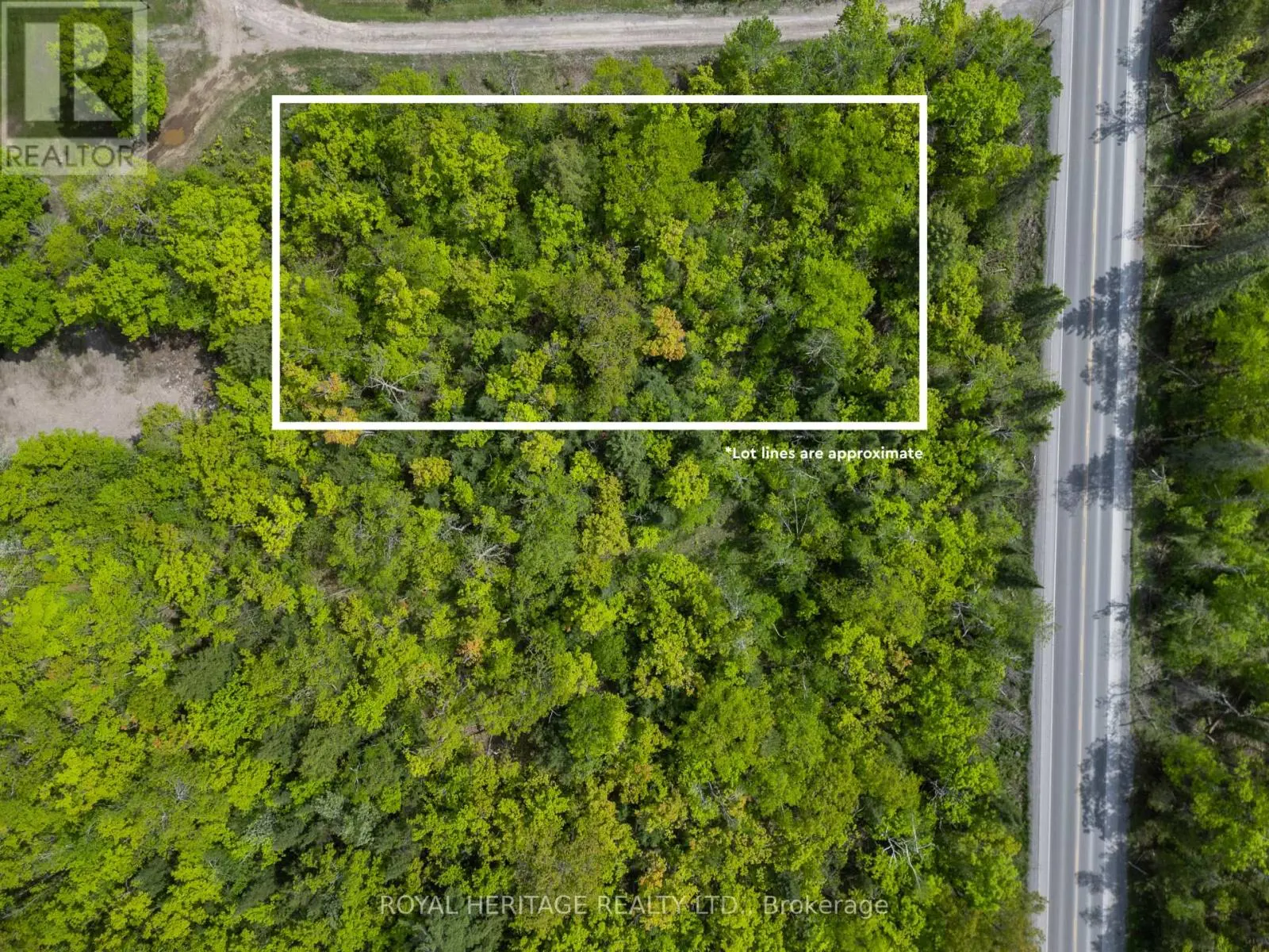 994 County Road 49, Trent Lakes, Ontario  K0M 1A0 - Photo 2 - X12180663