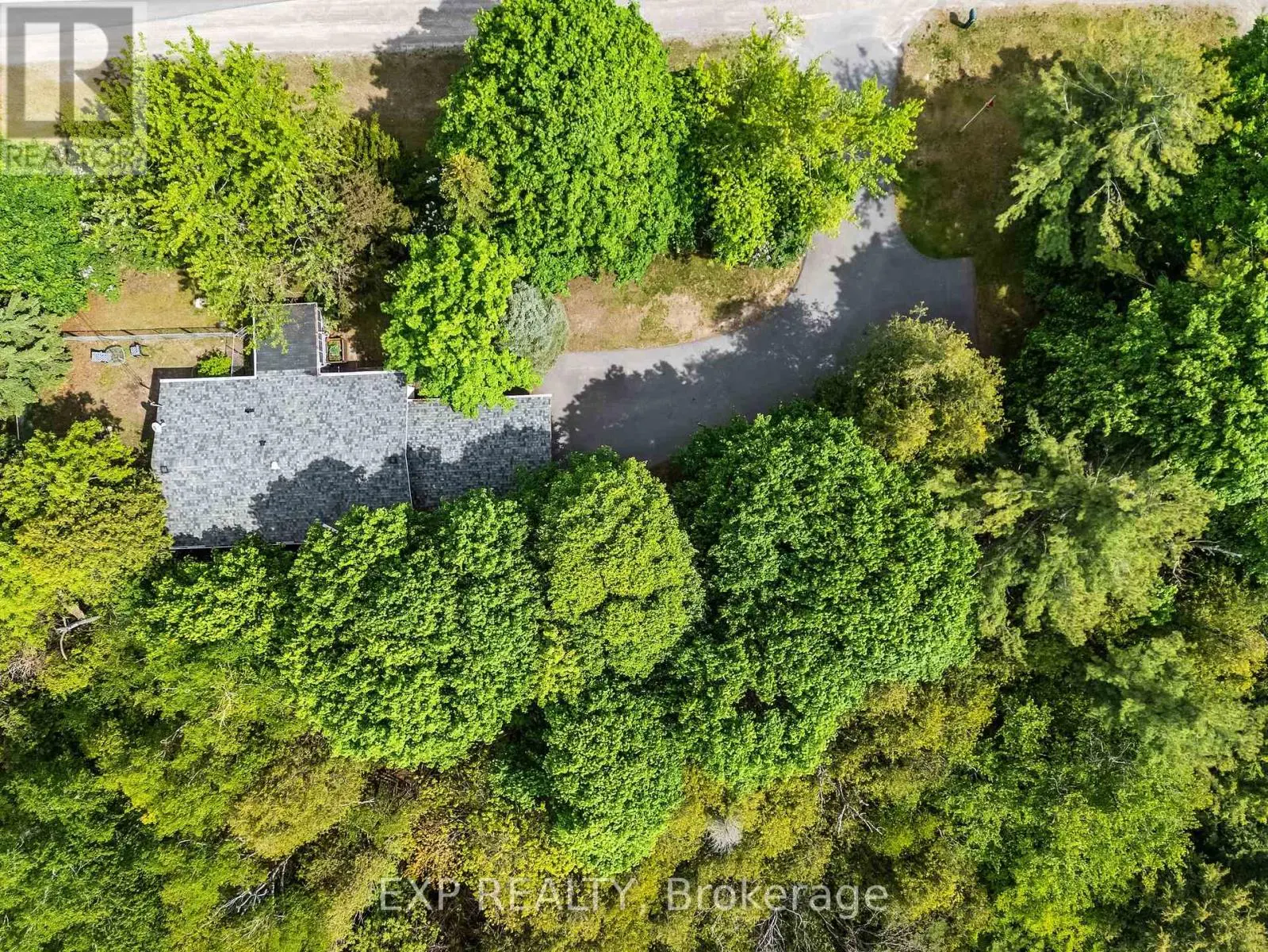 4558 County Road 45, Hamilton Township, Ontario  K9A 4J9 - Photo 3 - X12183578