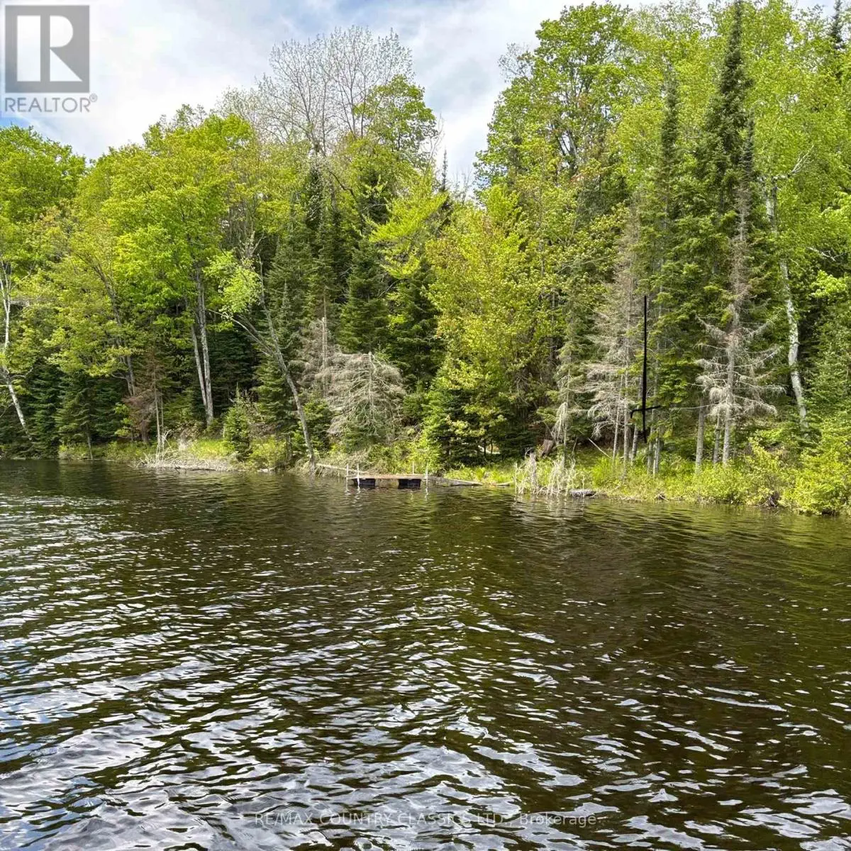 0 Sandy's Lane, Highlands East, Ontario  K0L 1C0 - Photo 2 - X12185346