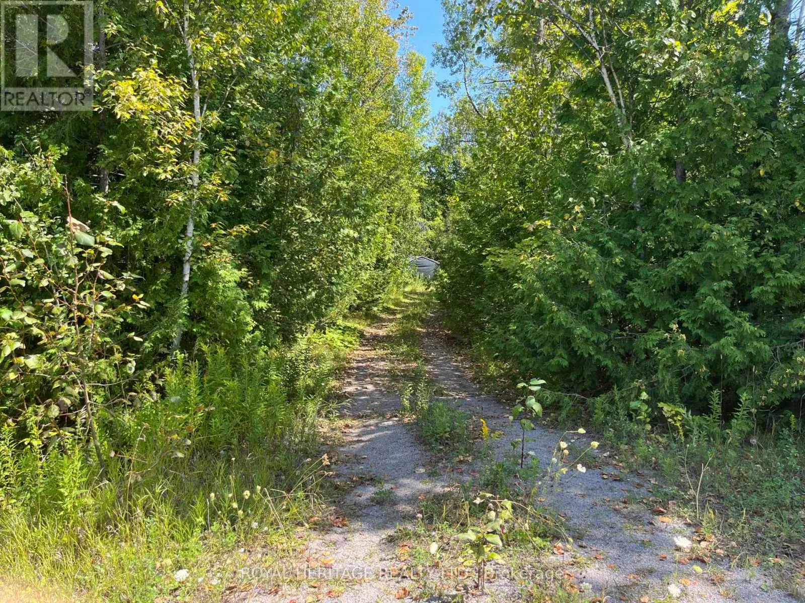 0 Sumcot Drive, Trent Lakes, Ontario  K9J 6X2 - Photo 1 - X12186979