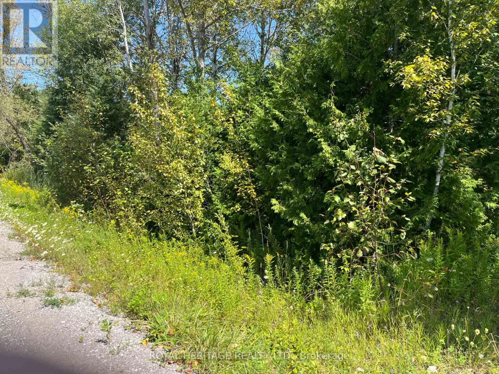 0 Sumcot Drive, Trent Lakes, Ontario  K9J 6X2 - Photo 2 - X12186979