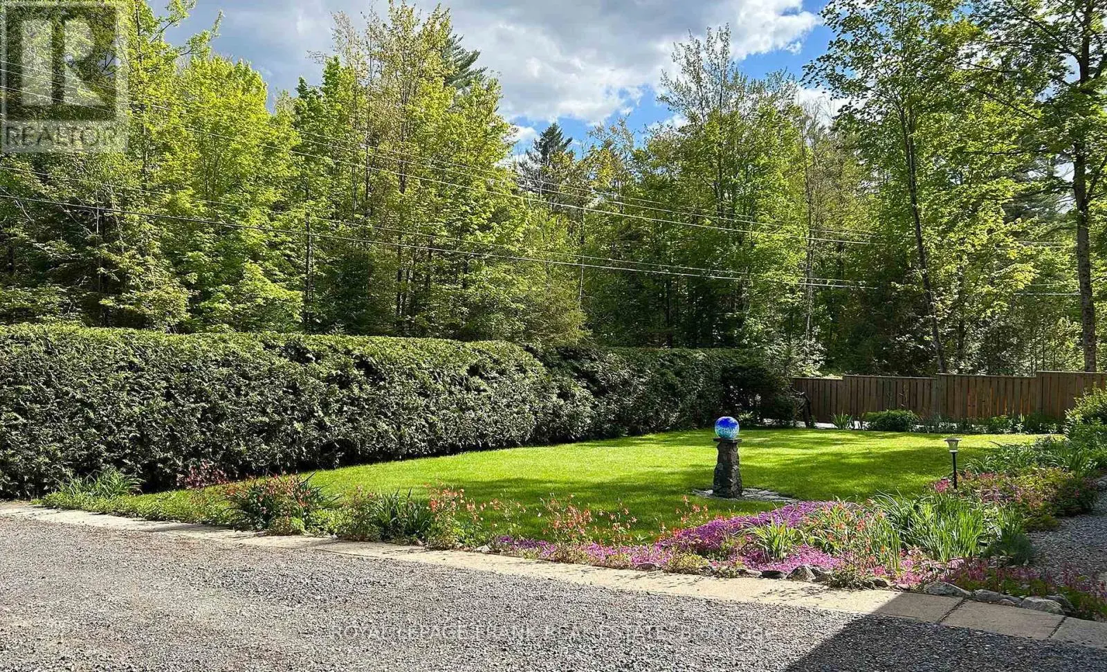 109 Mcfadden Road, North Kawartha, Ontario  K0L 1A0 - Photo 2 - X12188907