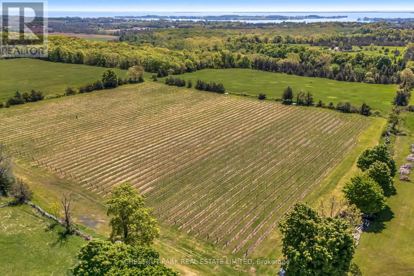 419 County Rd 25, Prince Edward County, Ontario  K0K 2T0 - Photo 3 - X12189479