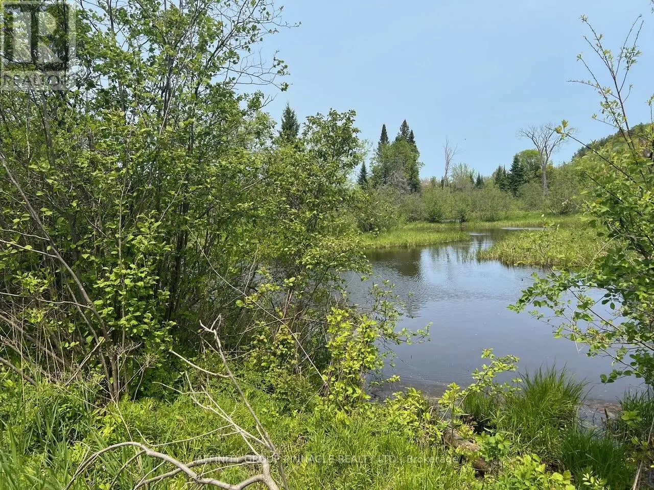 0 Trout Creek Lane, Bancroft, Ontario  K0L 1C0 - Photo 2 - X12191988