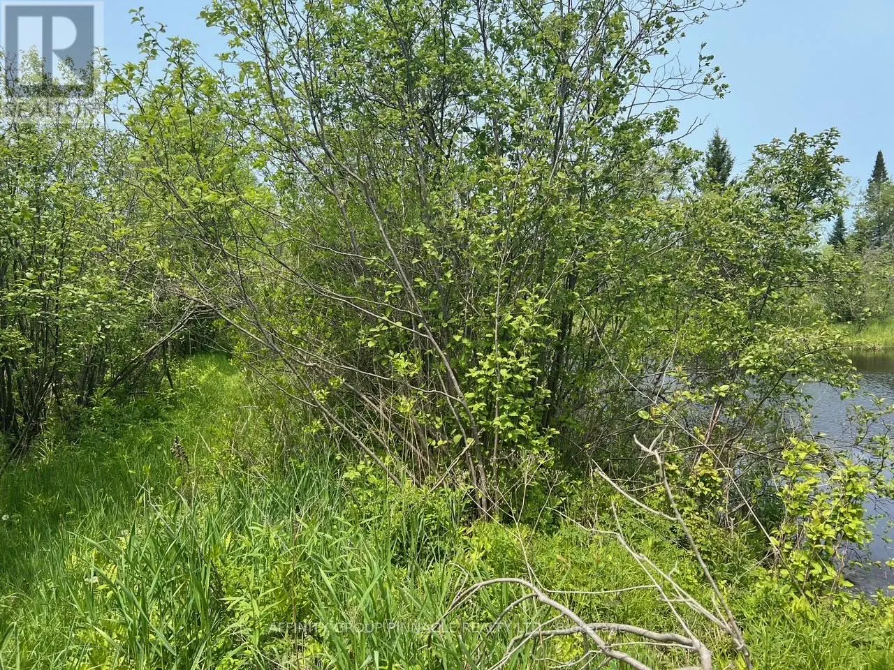 0 Trout Creek Lane, Bancroft, Ontario  K0L 1C0 - Photo 3 - X12191988