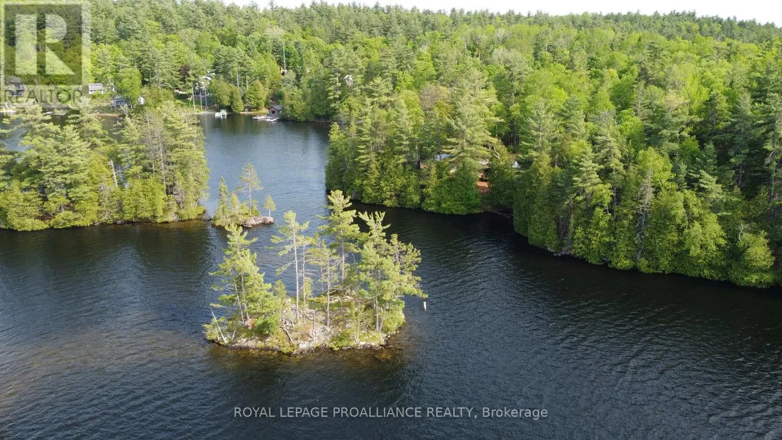 1052 Ridgeway Lane, North Frontenac, Ontario  K0H 1B0 - Photo 3 - X12195002